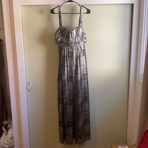 Beautiful elegant silver dress